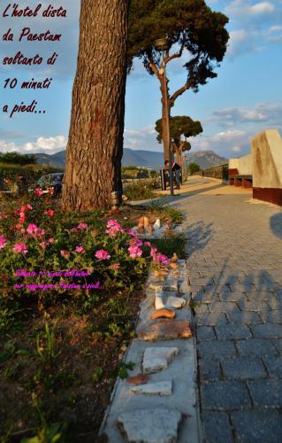 Poseidonia Mare Hotel Paestum